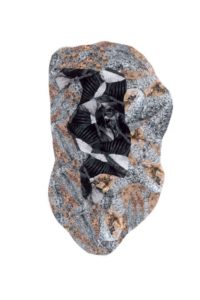 Petrified footprint 90 cm x 60 cm